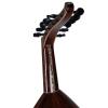 Luxury Bubinga Oud Exelcior Series EXC03A